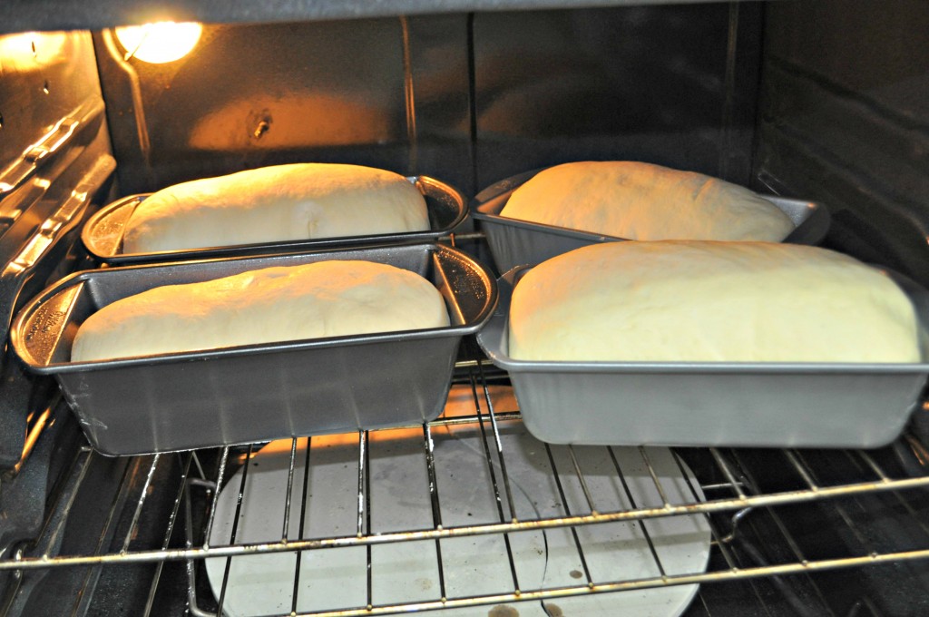 How To Make Bread With The Bosch Mixer - Through My Front Porch