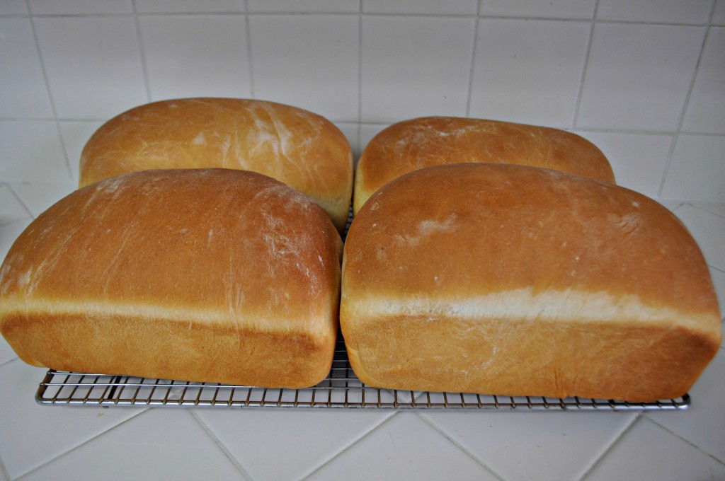 How To Make Bread With The Bosch Mixer - Through My Front Porch