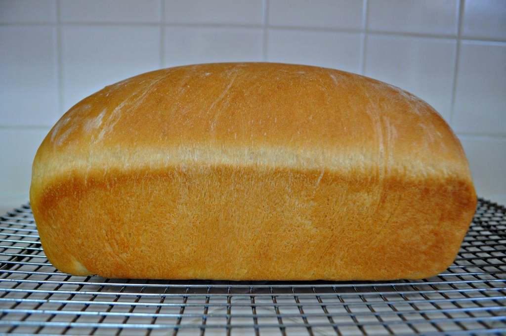 How To Make Bread With The Bosch Mixer - Through My Front Porch